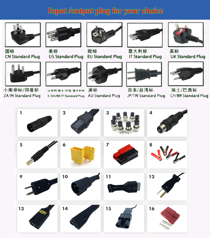 Input and output plug